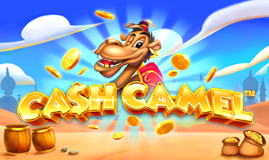 Cash Camel™