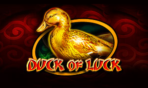 Duck Of Luck