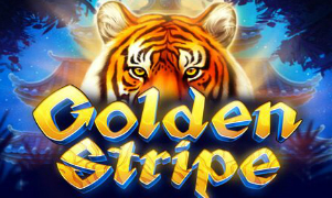 Golden Stripe