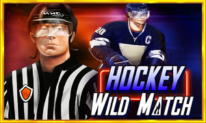 Hockey Wild Match