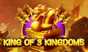 King of 3 Kingdoms™