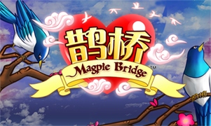 Magpie Bridge™