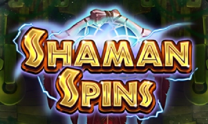 Shaman Spins