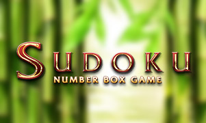 Sudoku Box Game