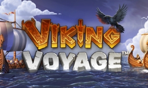 Viking Voyage™